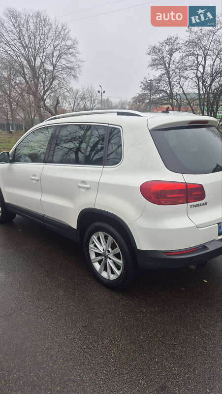Volkswagen-4