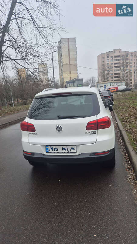 Volkswagen-2