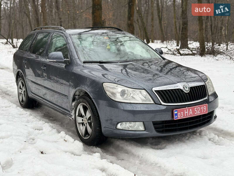 Skoda-10