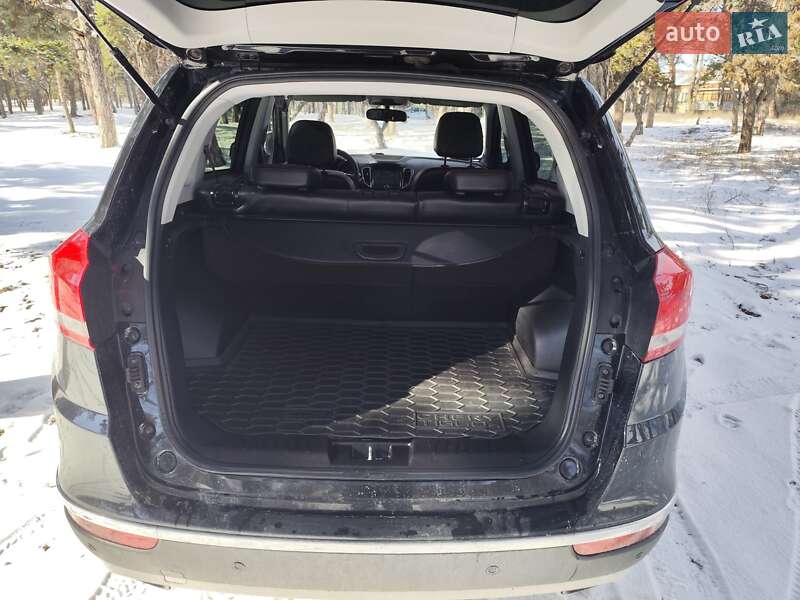 Chery-19