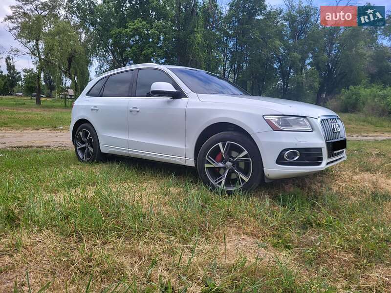 Audi-3