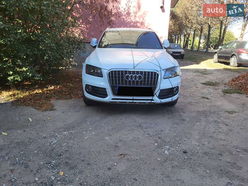 Audi-0