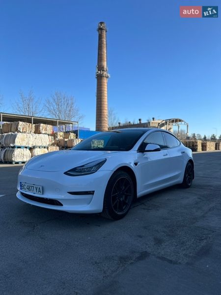 Tesla-19