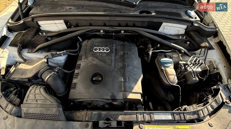 Audi-6