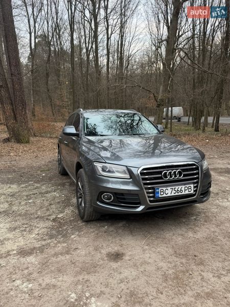 Audi-4