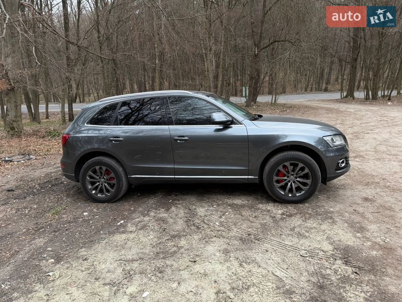 Audi-6