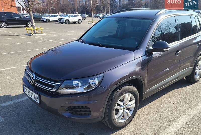 Volkswagen-19