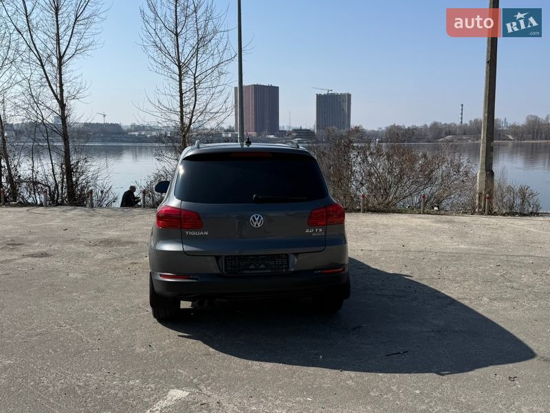 Volkswagen-19