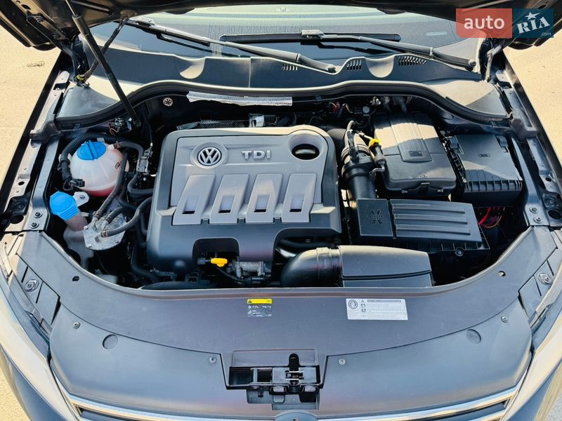 Volkswagen-4