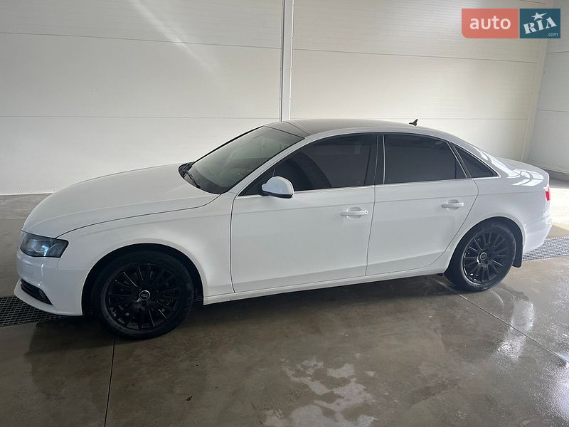 Audi-2