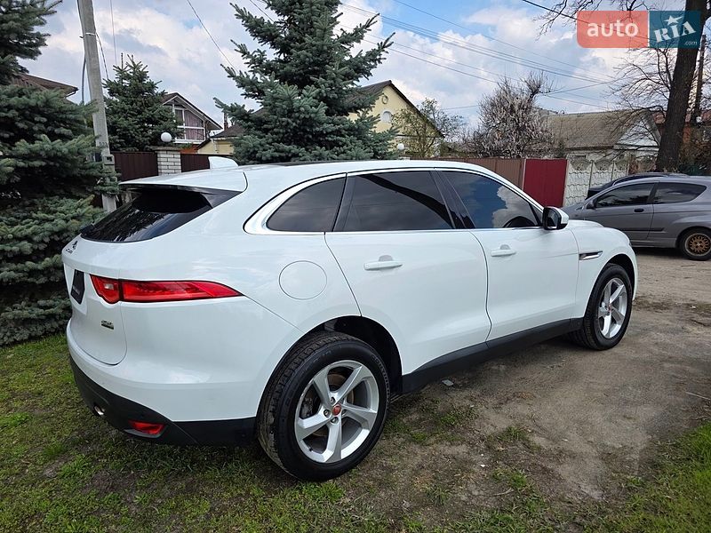 Jaguar-60