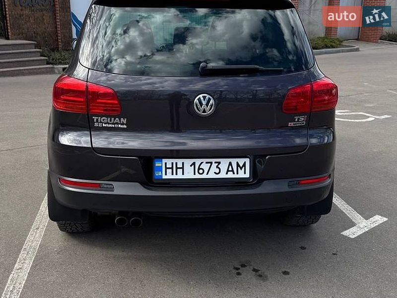 Volkswagen-18
