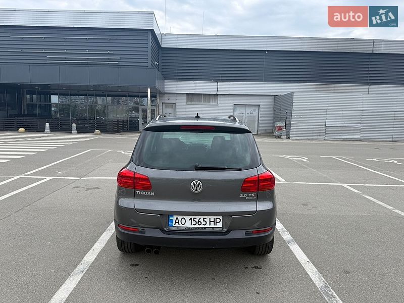 Volkswagen-12