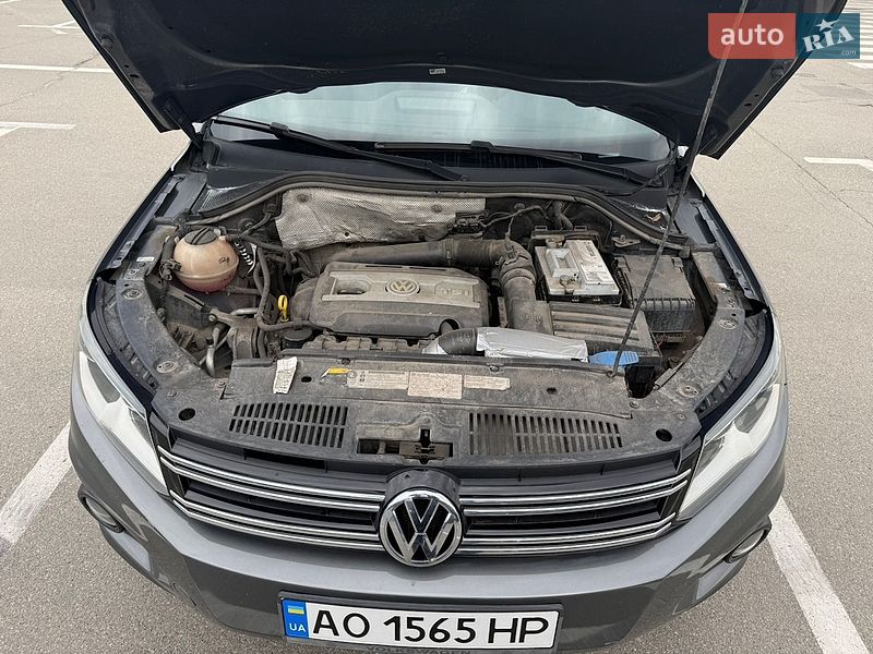 Volkswagen-9
