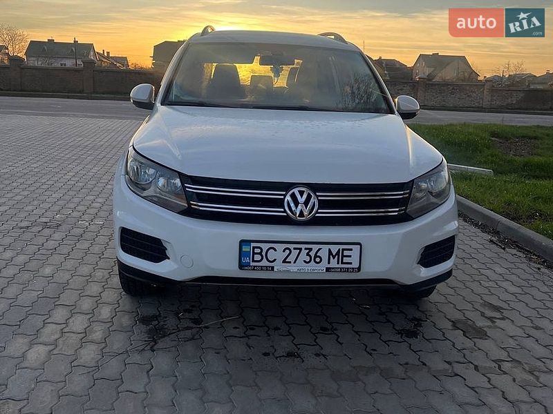 Volkswagen-6