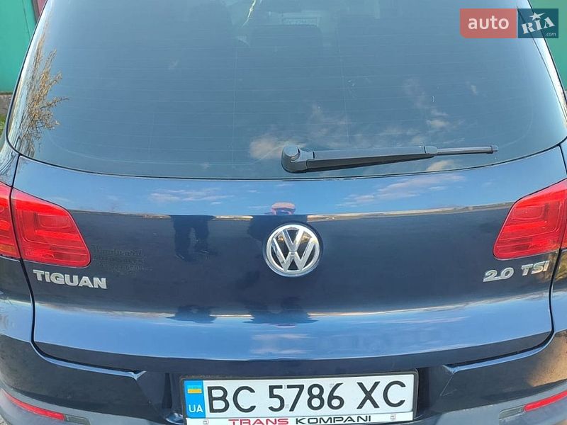 Volkswagen-48