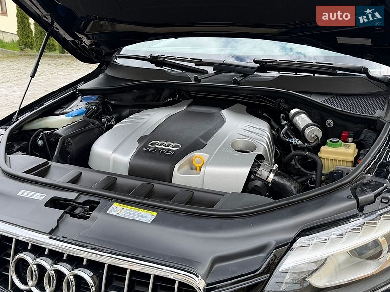 Audi-81