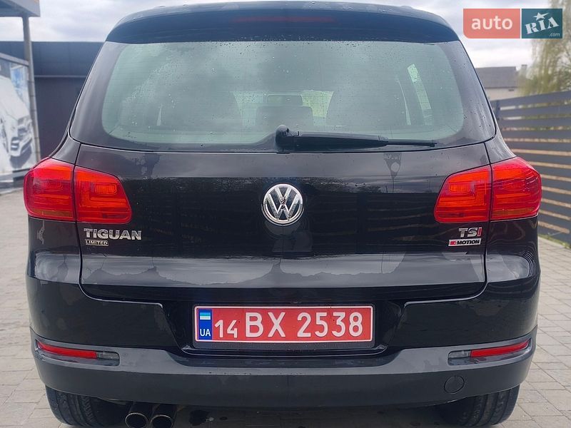 Volkswagen-15