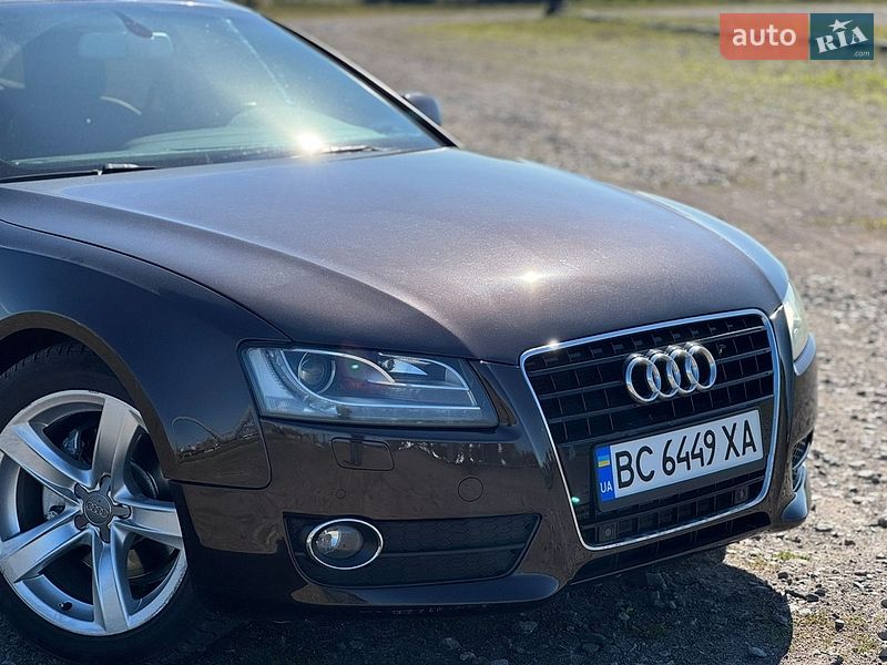 Audi-7
