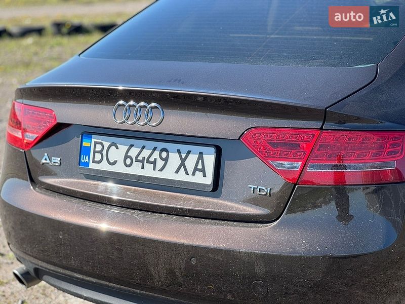 Audi-21