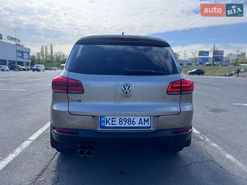 Volkswagen-15