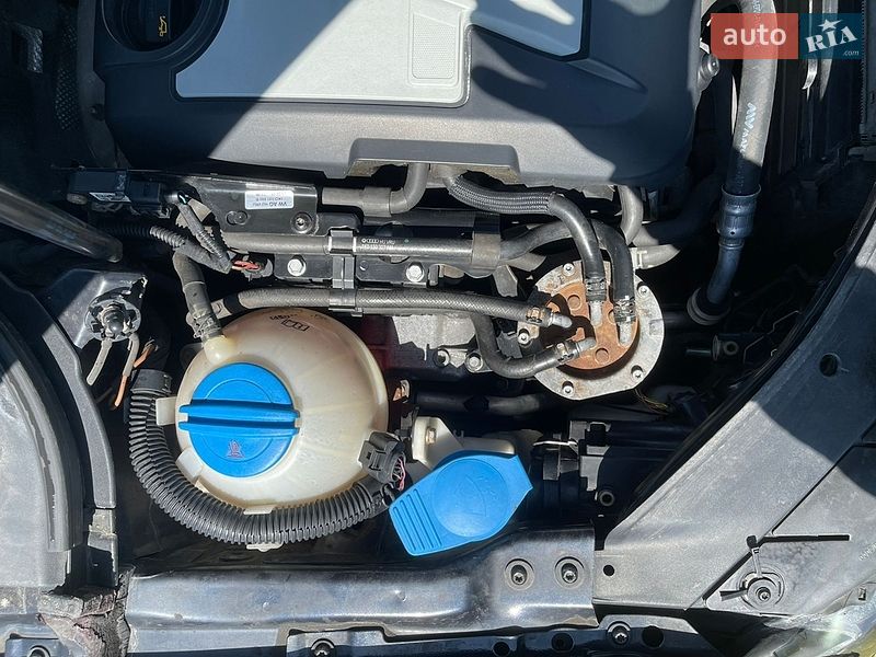 Volkswagen-8