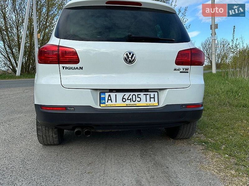 Volkswagen-11