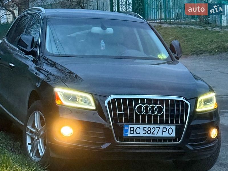Audi-8