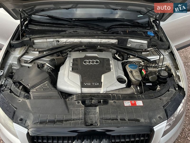 Audi-0