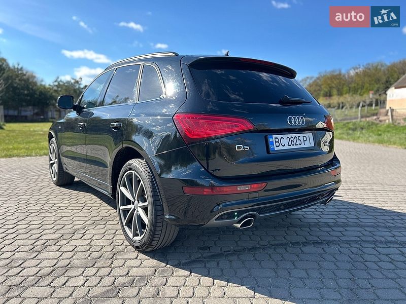 Audi-5