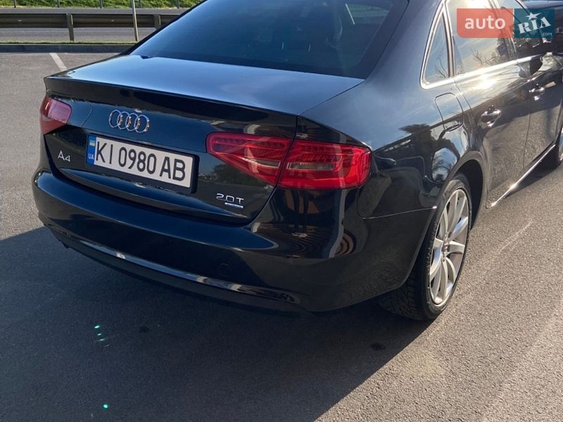 Audi-8