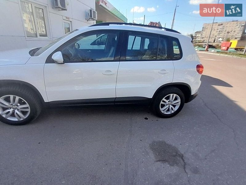 Volkswagen-8
