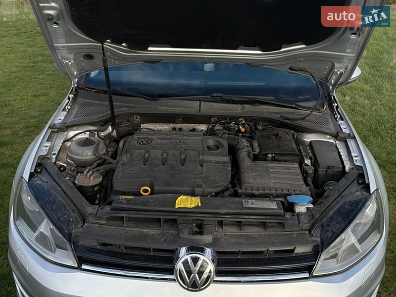 Volkswagen-19