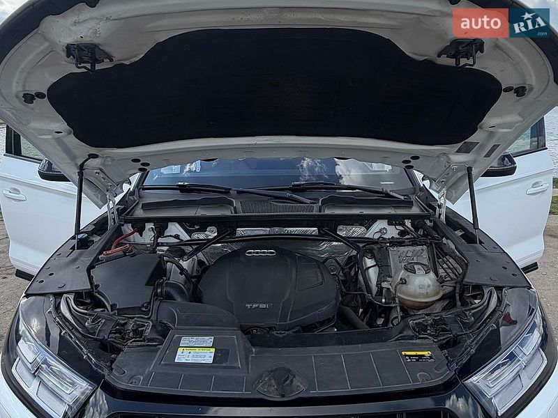 Audi-8
