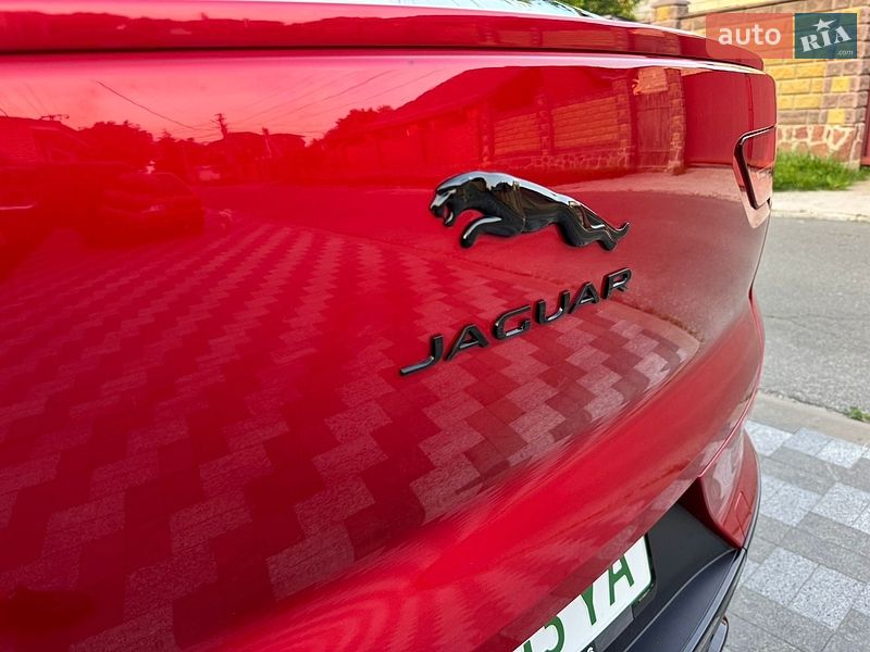 Jaguar-20