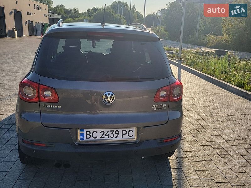 Volkswagen-4