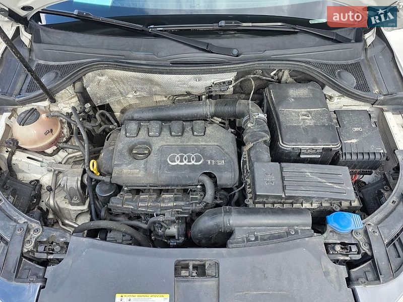 Audi-8