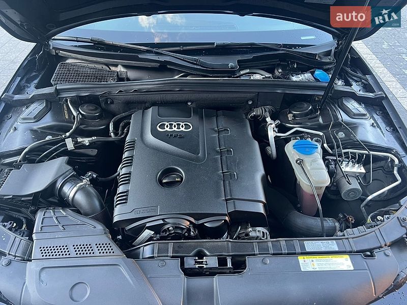 Audi-8
