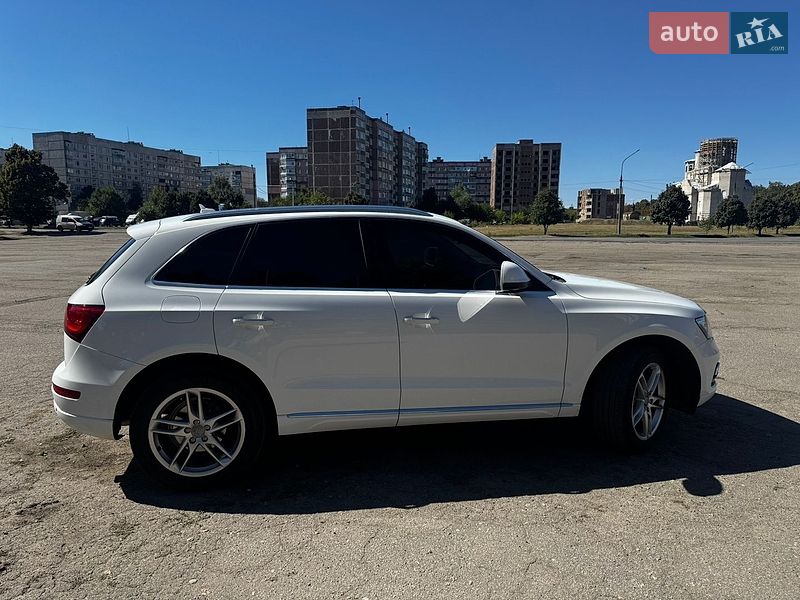 Audi-8