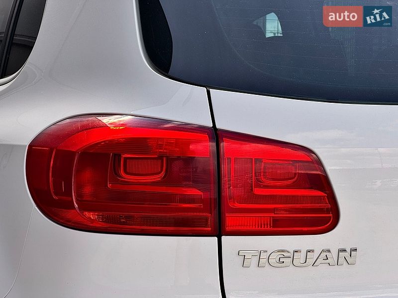 Volkswagen-4