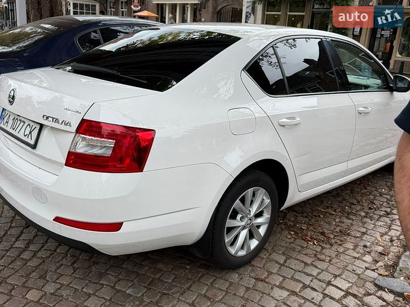 Skoda-11