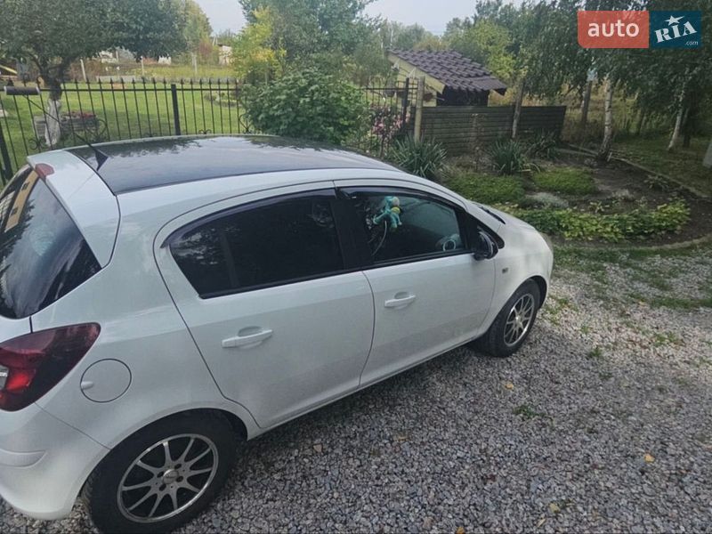 Opel-8