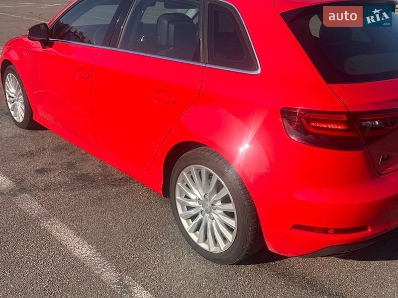 Audi-4