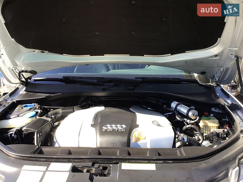Audi-55