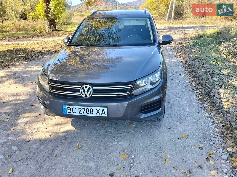Volkswagen-11
