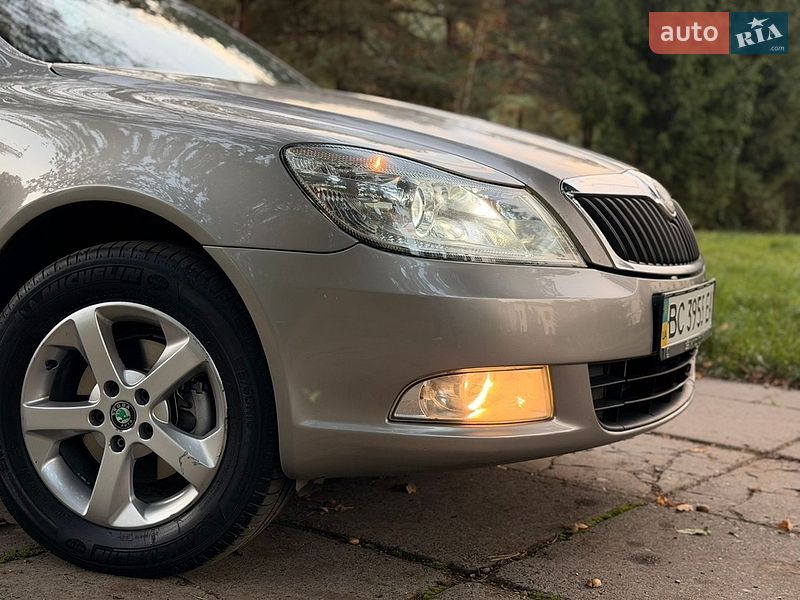 Skoda-10