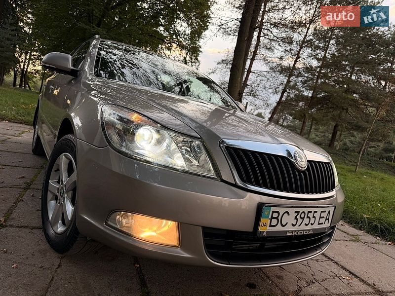 Skoda-13