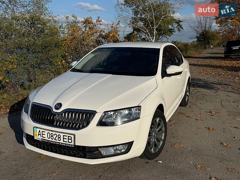 Skoda-13