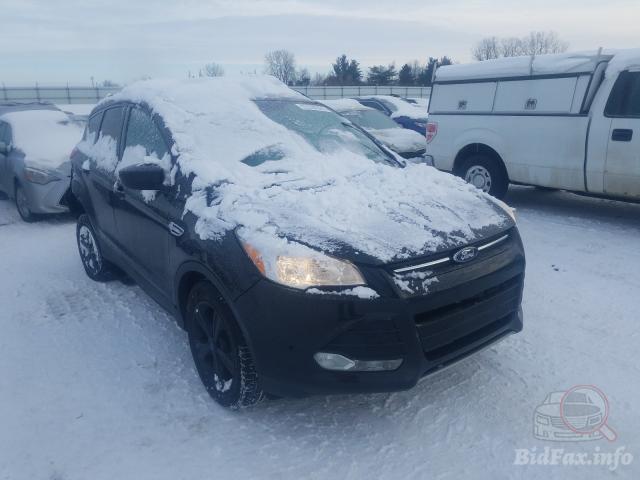 bidfax photo bidfax photo