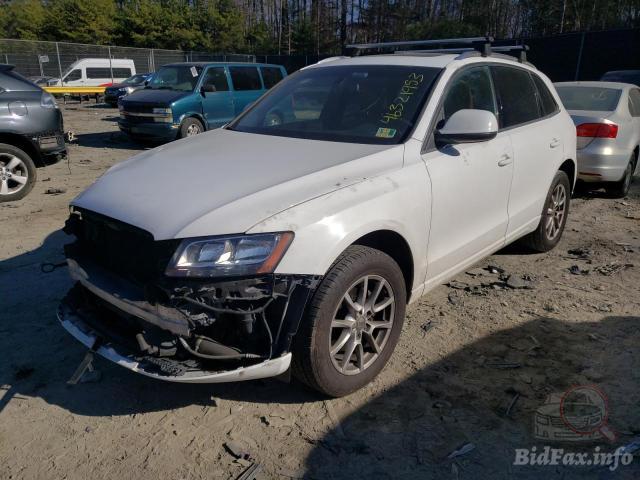 bidfax photo bidfax photo